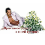 Мои h..