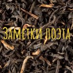 Заметки поэта