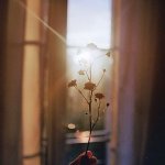 Poetry FM