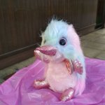 Утконос