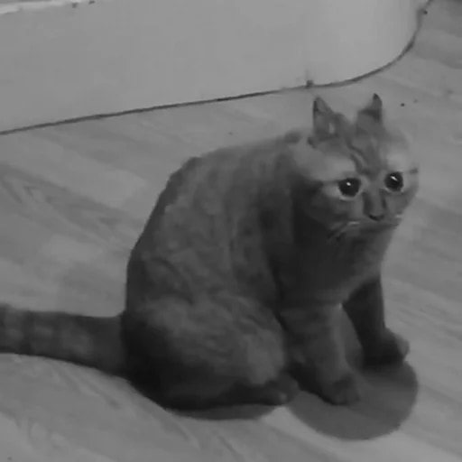 Опять на работу