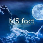 MC fact