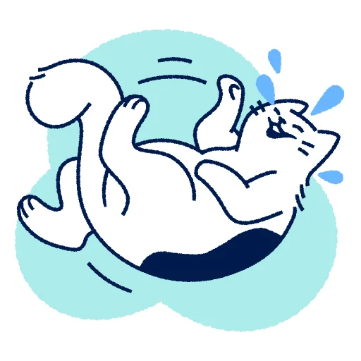 Кот Макс