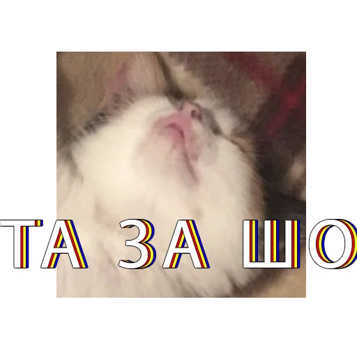 Это не мем, это наша жизнь
