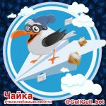 Чайка Бот