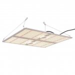 Grow LED