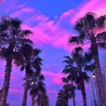?Top - Music?