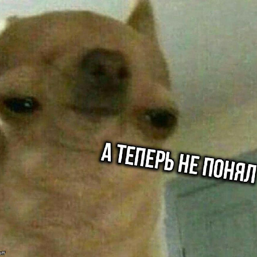 BruhMemes