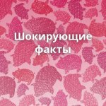 Шокирующие факты +16