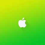 Apple pro