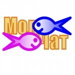 Чат МолЧат