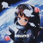 ▃▅▆█ animars █▆▅▃