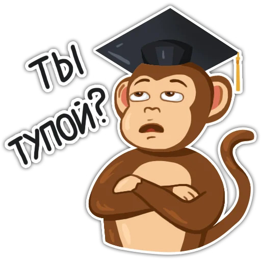 Обезьяна хочет в колледж