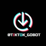 TikTok Saver