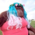 Funky Monkey