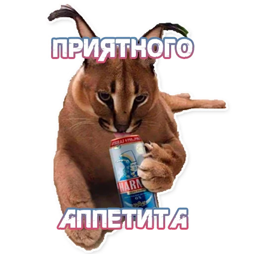 ШлёпаFloppa