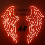 Aesthetic Nation