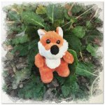 ?Creative Fox?