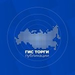 ГИС ТОРГИ