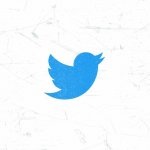 Twitter subscribes robot