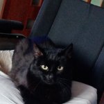 Взаимные подписки