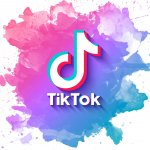 Скачать видео из ТТ
