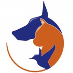 Зоомагазин умных товаров Bigpet