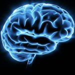 Vsepromozg.ru