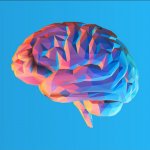 Big Brain