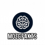 Mozg Fakts