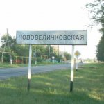 Нововеличковская чат