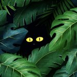 Клуб анонимных цветоголиков ?