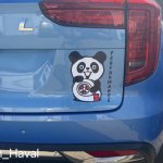 Haval_Perm