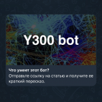 Y300 – краткий пересказ статей