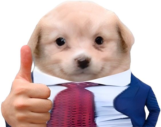Собаки
