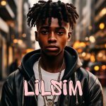 LILSIM
