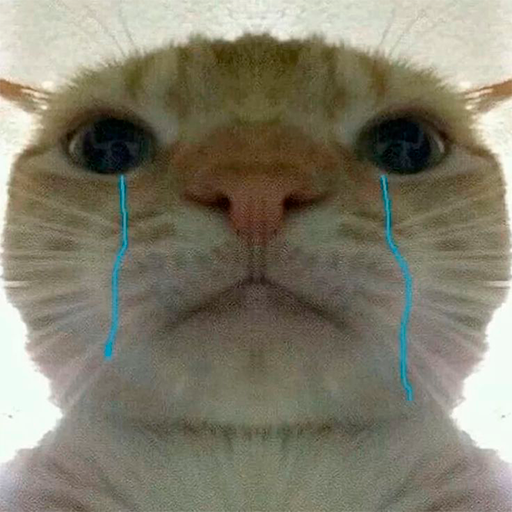 Котик