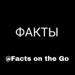 Facts on the Go