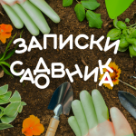 Записки садовника? |Дача|Сад|Огород