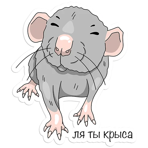 Крыса
