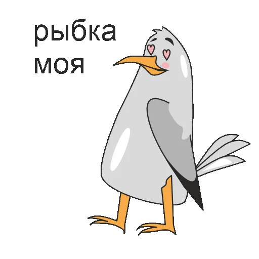 Баклан