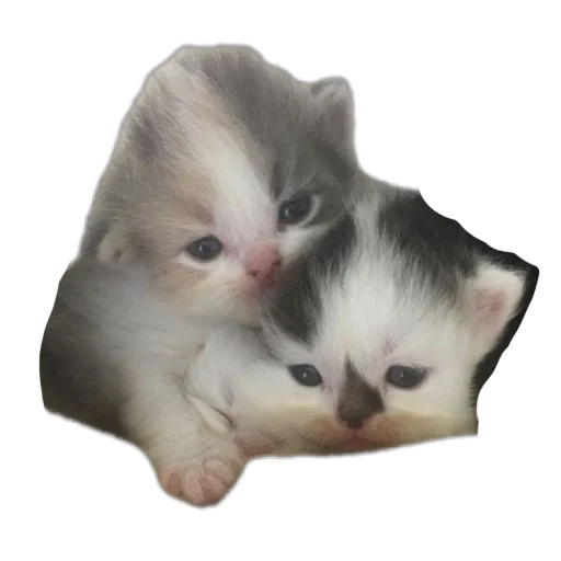 Мягкие всратыши 2