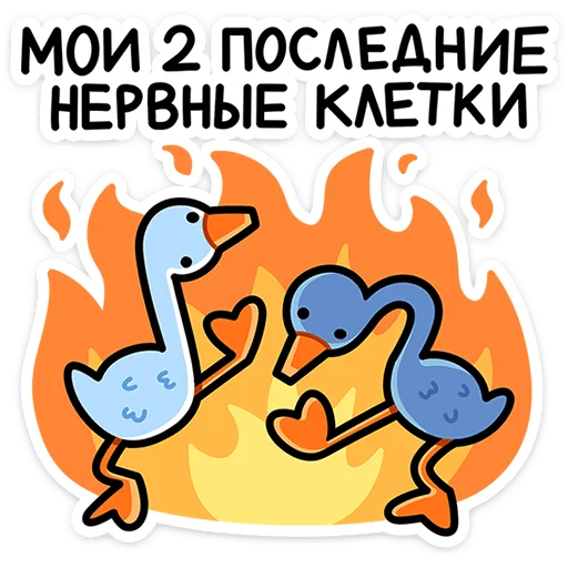 Дикие гуси