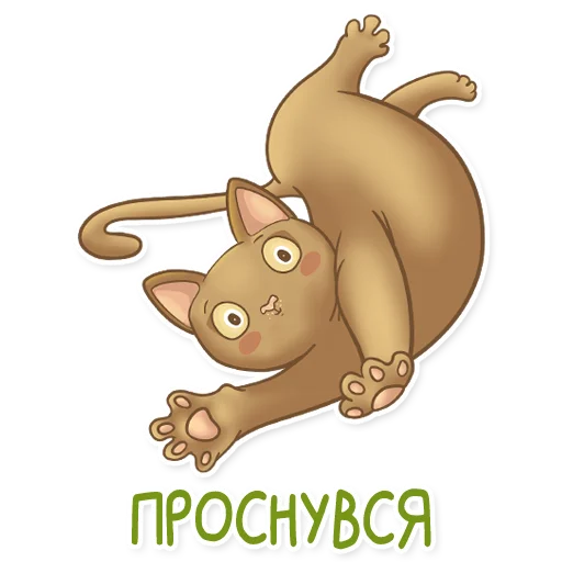 Абики