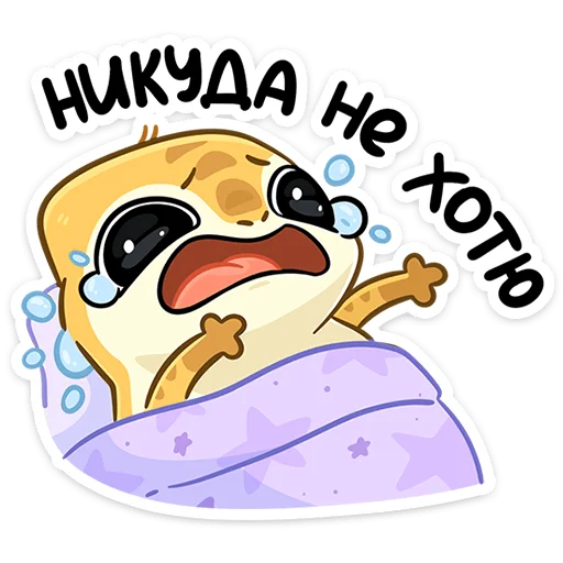 Гоша