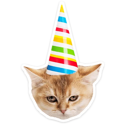 Котятки