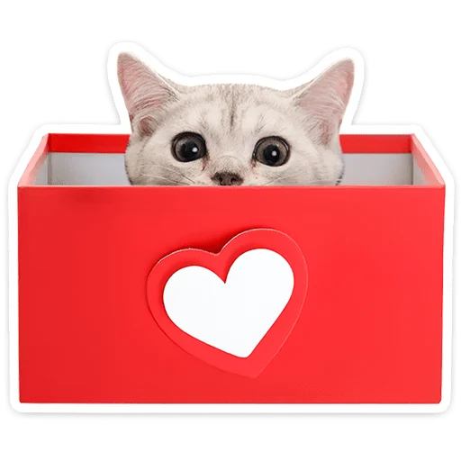 Котятки
