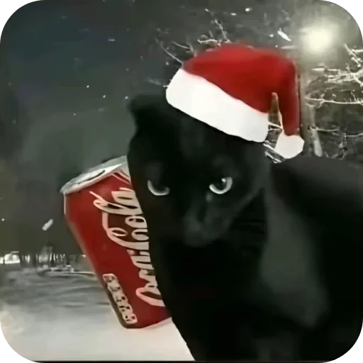 Котики и Новый Год