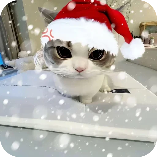 Котики и Новый Год
