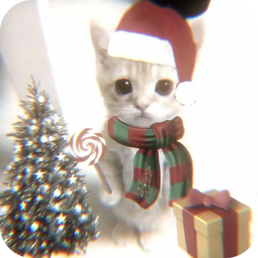 Котики и Новый Год